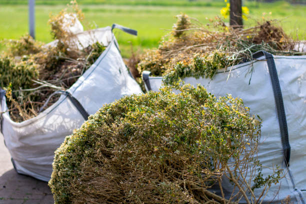 Best Office Cleanout  in Soldotna, AK